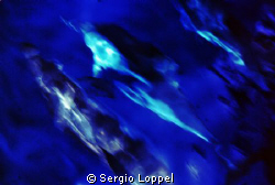 "At full speed" in navigazione nel Mar Tirreno al largo d... by Sergio Loppel 